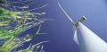 Wind turbine and grass.jpg