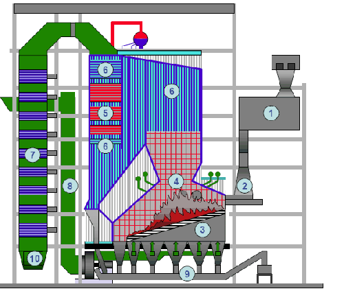 Anina slika za enerpediju 2.png